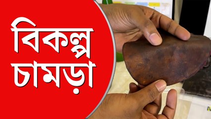 আগাছা থেকে বানানো ‘ভিগান লেদার’
