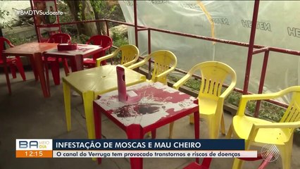 Infestação de moscas varejeiras é registrada em cidade da Bahia e preocupa moradores 'vontade de vomitar'  Bahia  G1-11450815