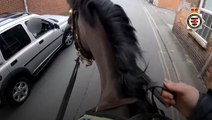 Police on horseback chase driver down high street after spotting him using phone