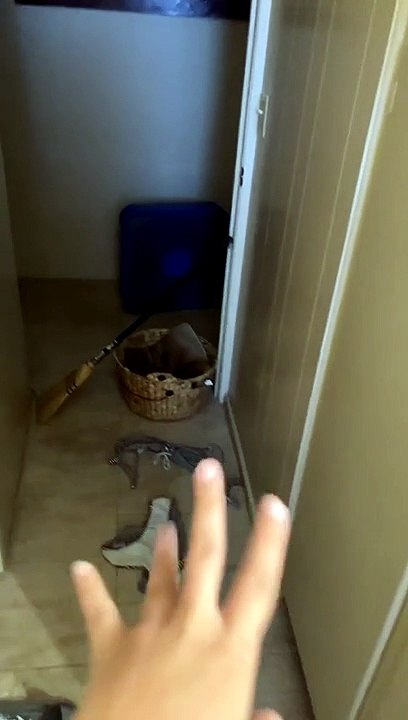 Cat Calling