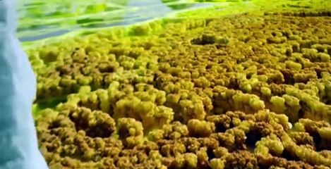 One Strange Rock S01 E01