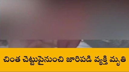దత్తిరాజేరు: చింత చెట్టుపై నుంచి జారిపడి వ్యక్తి మృతి