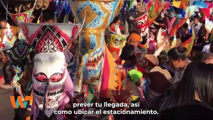 ¿Estás listo?, aquí la guía de supervivencia para el Vive Latino 2023 || Wipy TV