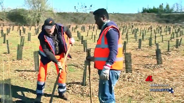 Un nuovo bosco urbano nasce a Torino con il progetto Nespresso
