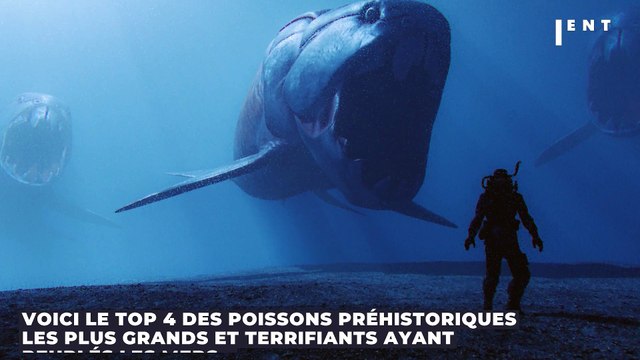 TOP 4 des plus grands poissons préhistoriques, des terreurs marines de dizaines de mètres (VIDÉO)