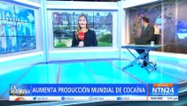 Brian Nichols habla con NTN24 sobre estrategia de Colombia contra la producción de cocaína