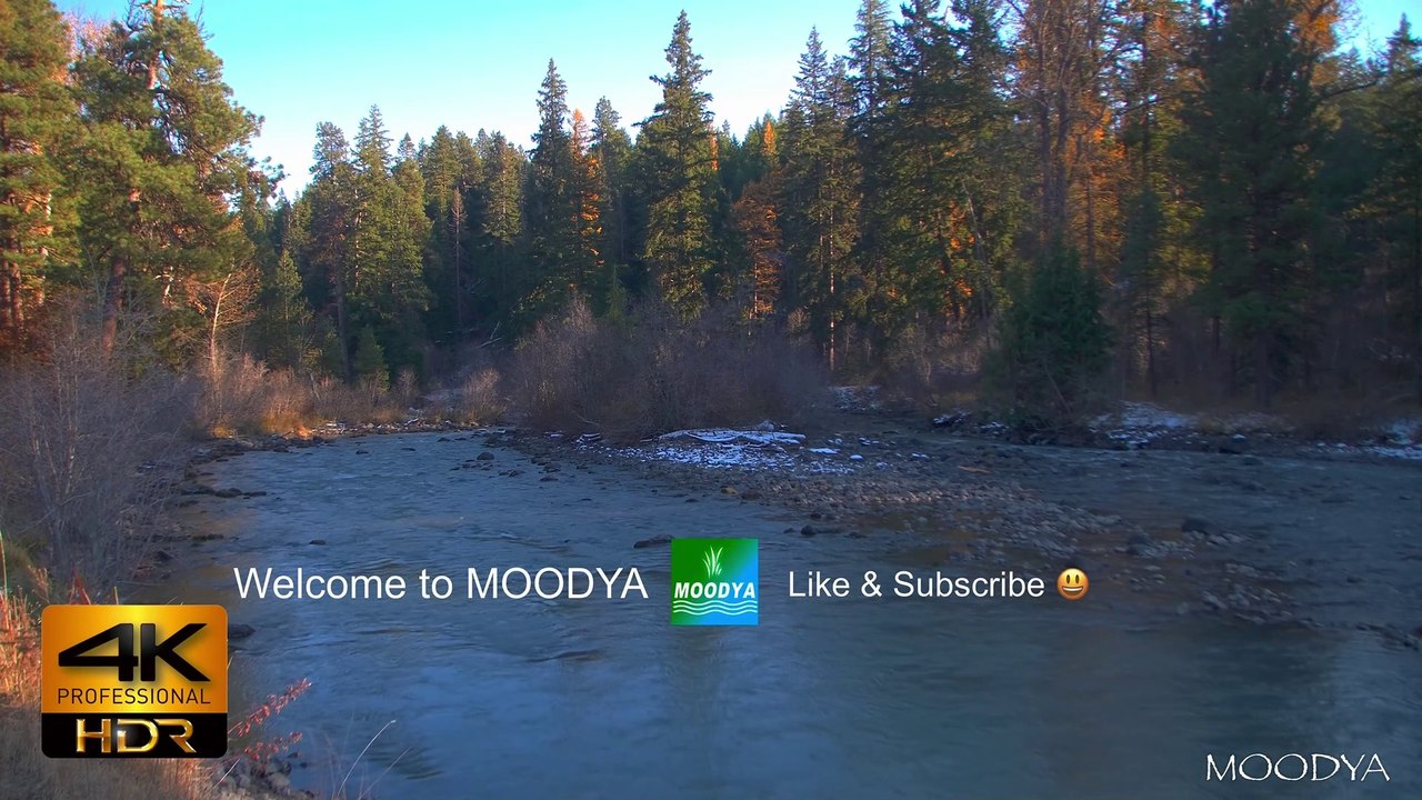 4K Proxy+M HDR Mobile Version - "A New Autumn Arising Nature Film" Sony Dolby Vision Enhanced Video