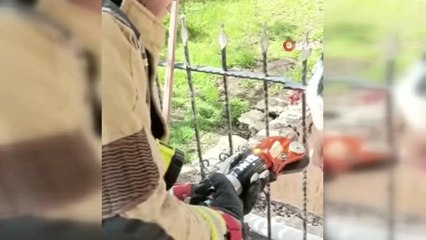 Demir parmaklıklara sıkışan kedi böyle kurtarıldı