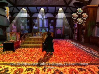 Harry Potter à l'école des sorciers online multiplayer - ps2