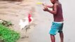 A tremendous fight between the small children of the village and the chicken