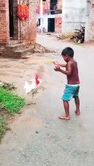 A tremendous fight between the small children of the village and the chicken