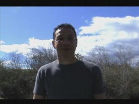 How to Understand MLM Comp Plans - What are you Really Worth