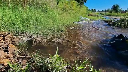 Perdida de agua en la calle Punta Alta al 2700