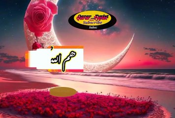 Hum allah ki raza si | ھم اللہ کی رضاسے | qarar__typist