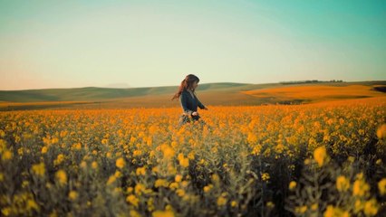 INVRAISEMBLANCES - Les alouettes des champs