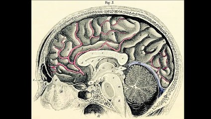 Malevolent | movie | 2024 | Official Trailer