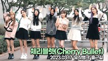 체리블렛(Cherry Bullet), 귀여운 7명의 요정들(뮤직뱅크 출근길) [TOP영상]