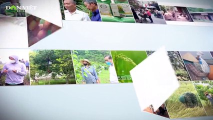 Hướng dẫn chi tiết quy trình ủ phân hữu cơ cho cây nhãn ra quả ngon ngọt bất ngờ