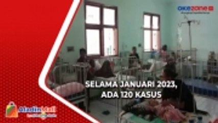 Awas! Kasus Demam Berdarah Meningkat Drastis di Sikka