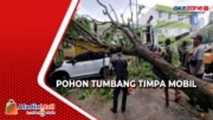 Download Video: Pohon Tumbang dan Timpa Mobil di Sunter Agung, Akibat Hujan Disertai Angin Kencang