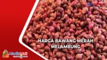 Gagal Panen, Harga Bawang Merah di Cirebon Melambung