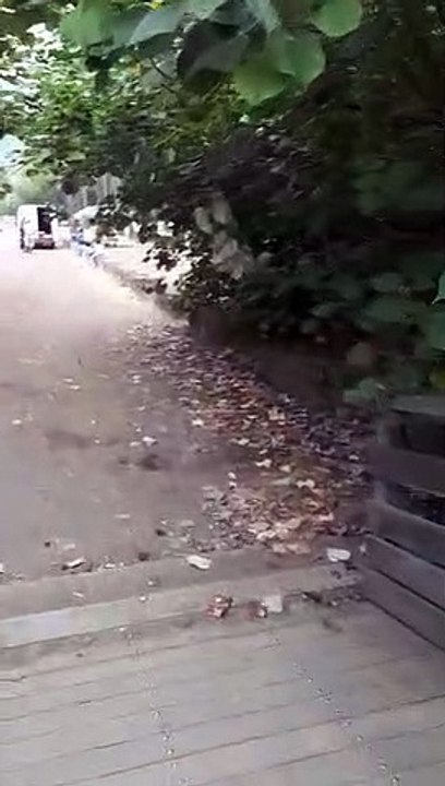 Ambiance boîte de nuit à la Cocoteraie