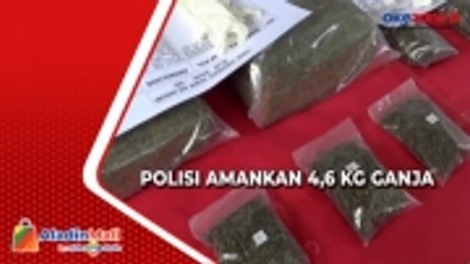 Polisi Gianyar Bali Berhasil Amankan 4,6 Kg Ganja, Target Sasaran Wisatawan di Ubud