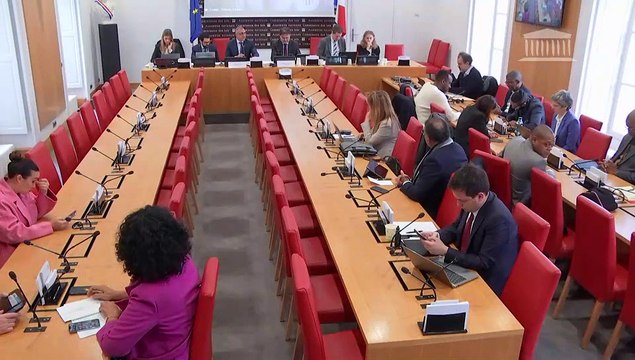 Commission d’enquête sur le coût de la vie outre-mer : Auditions diverses - Jeudi 16 mars 2023