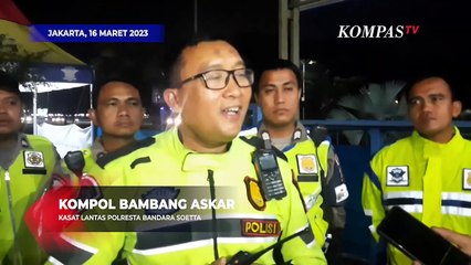 Heboh! Sapi Masuk Tol Cengkareng Berlarian ke Arah Bandara Soekarno-Hatta