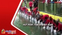 Rayakan HUT Megawati dan PDIP di Jogjakarta dengan Tabur Bibit Ikan dan Tanam Pohon