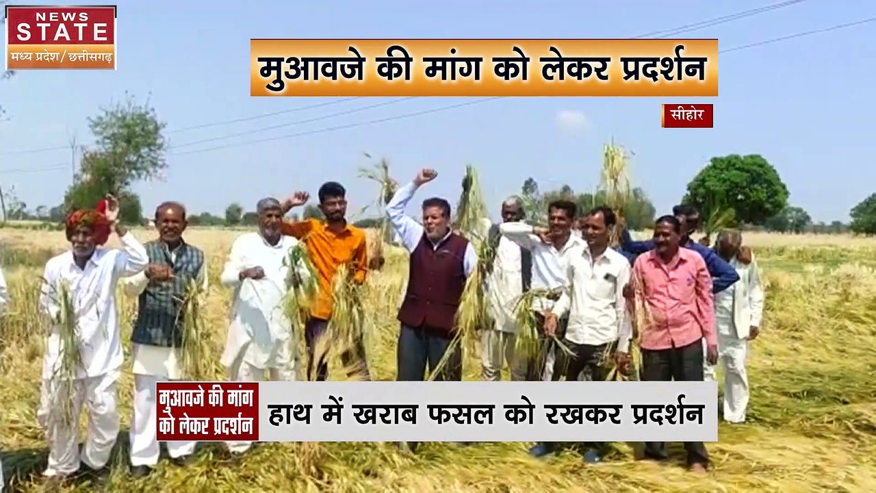 Sehore : खराब फसलों का सर्वो और मुआवाजा क लिए प्रदर्शन