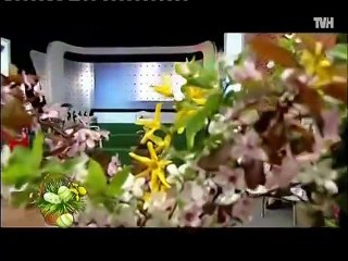 Doina Cernea - Cioban sunt, cioban imi zice (Paste Tvh - 16.04.2017)