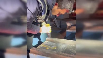 Arı kovanından uyuşturucu çıktı