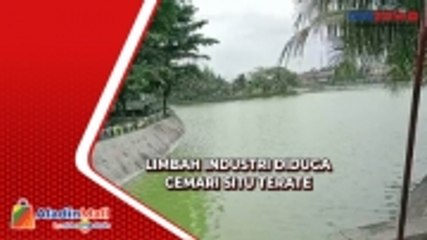 Situ Terate di Cikande Diduga Tercemar Limbah Industri, Ikan-Ikan Mati
