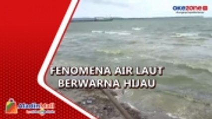 Fenomena Air Laut Berwarna Hijau dan Berbau di Kepulauan Selayar