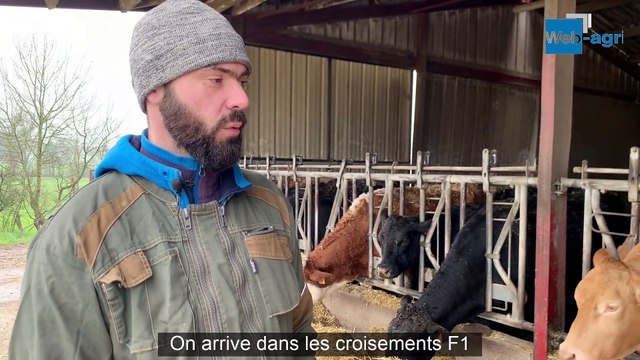 Mettre la main sur l'équilibre carcasse pour bien vendre ses bovins