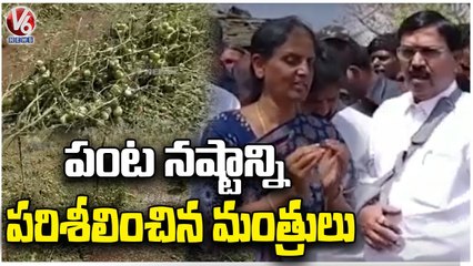 Minister's Niranjan Reddy, Sabitha Indra Reddy Inspects Crop Damage _ V6 News