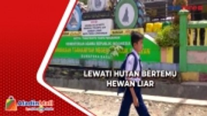 Kisah Siswa di Solok Selatan Berjuang ke Sekolah, Jumpa Babi dan Pingsan saat Belajar