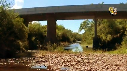 La Rural de Tacuarembó reclama medidas efectivas para hacer frente a la sequía (marzo 2023)