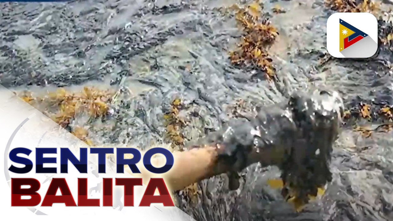 MT Princess Empress, hindi bago at ni-rebuild lang para maging isang oil tanker ayon kay DOJ Sec. Remulla; DOJ, hawak na ang sinumpaang salaysay ng testigo na umano'y may alam sa lahat ng pangyayari