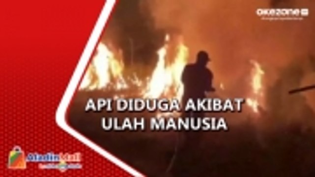 Puluhan Hektare Hutan Taman Nasional di Bombana Terbakar