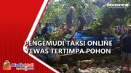 Pengemudi Taksi Online Tewas Tertimpa Pohon saat Tunggu Penumpang