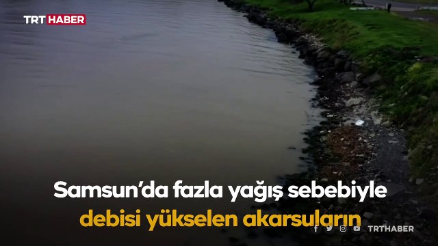 Samsun'da deniz kahverengiye döndü