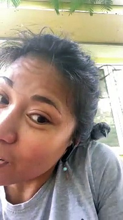 Blue Jay Steals Woman's Earbud
