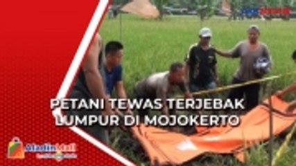 Tải video: Pasang Penghalau Burung, Petani Tewas Terjebak Lumpur di Mojokerto