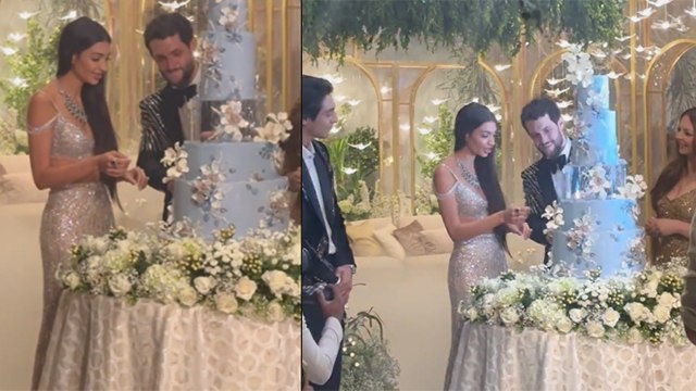 Alanna Panday Wedding Reception First Inside Video, Husband के साथ Cake Cutting करती दिखीं | Boldsky
