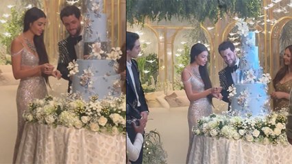 Alanna Panday Wedding Reception First Inside Video, Husband के साथ Cake Cutting करती दिखीं | Boldsky