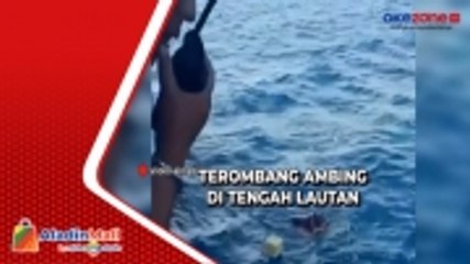 Terombang-Ambing di Tengah Lautan, Nelayan Wakatobi Diselamatkan Kapal Feri