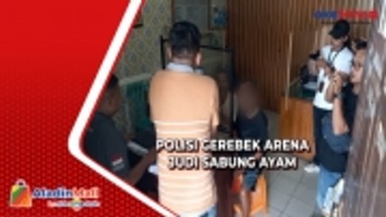 Berkedok Kontes, Polisi Gerebek Arena Judi Sabung Ayam di Lampung