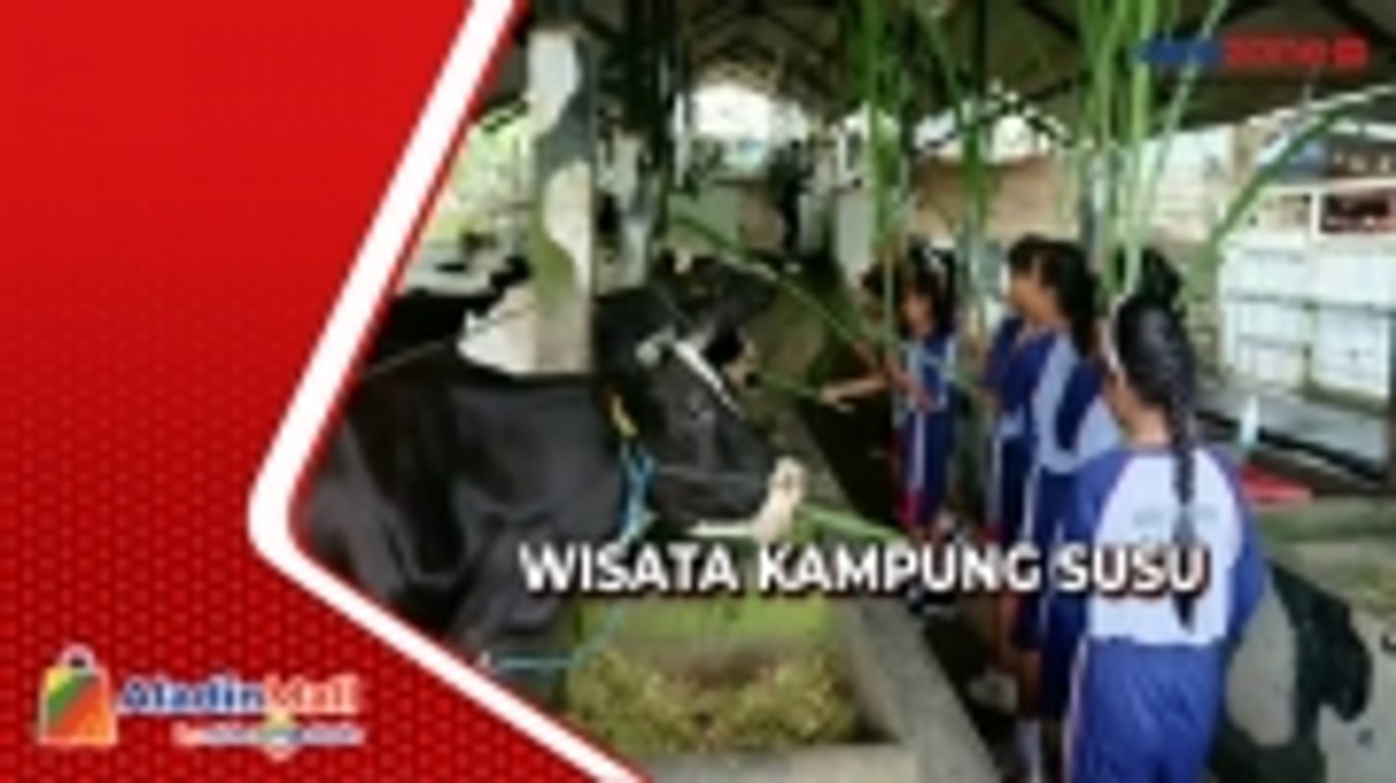 Asyiknya Berlibur di Wisata Kampung Susu Tulungagung